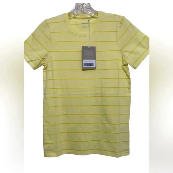 Everlane Womens The Organic Cotton Crew T-Shirt Yellow Stripe Size XS NWT - Picture 1 of 5